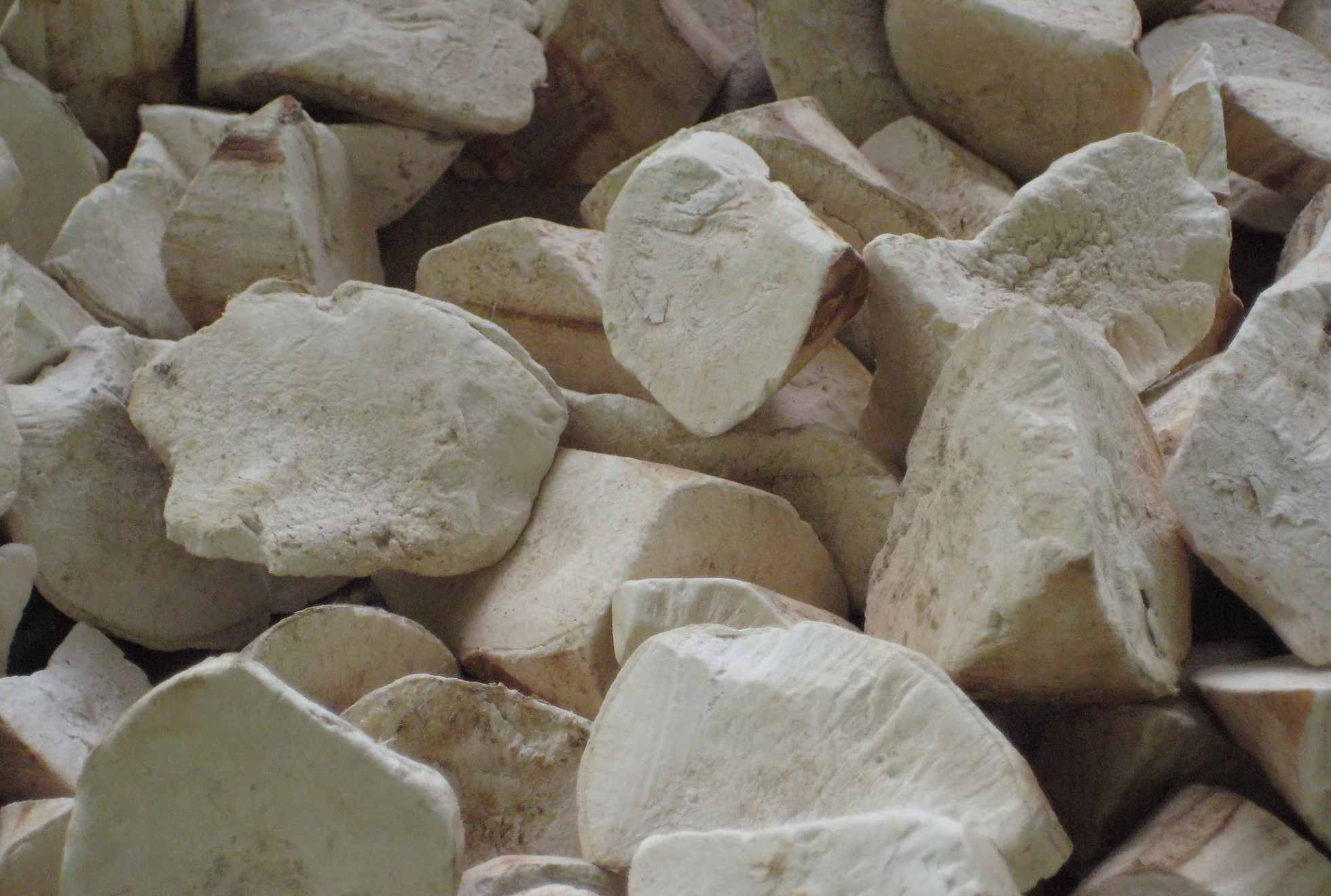 Tapioca Chips Grade 1 — dried cassava pieces